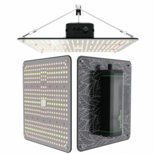 Quantum Board LED Grow Lights Quantum Board LED Grow Lights (1)